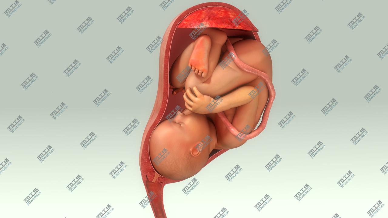 images/goods_img/2021040235/Baby in Womb/2.jpg